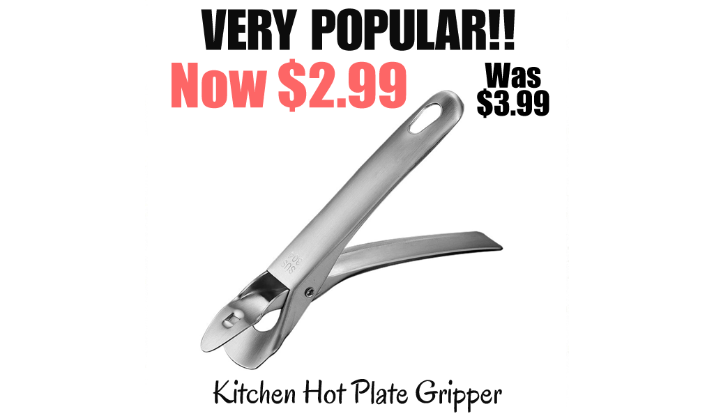 Kitchen Hot Plate Gripper Only $2.99 Shipped on Amazon (Regularly $3.99)