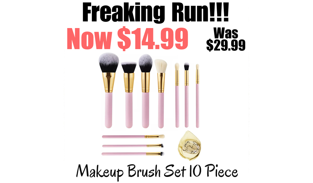 Makeup Brush Set 10 Piece Only $14.99 Shipped on Amazon (Regularly $29.99)
