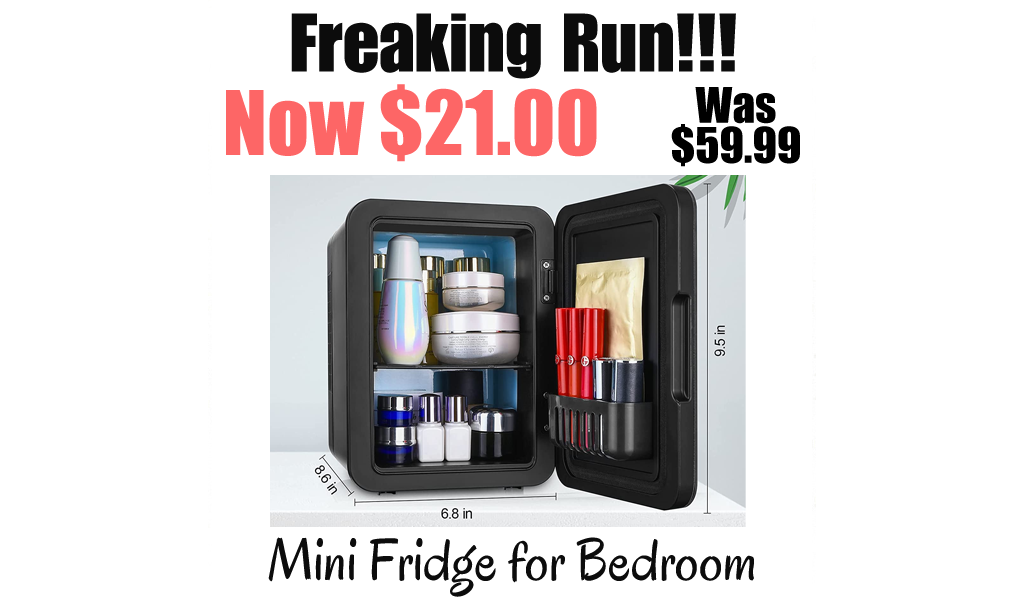 Mini Fridge for Bedroom Only $21.00 Shipped on Amazon (Regularly $59.99)