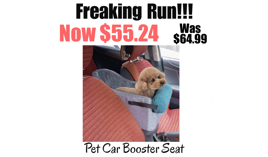 Pet Car Booster Seat Only $55.24 Shipped on Amazon (Regularly $64.99)