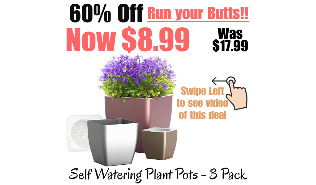 Self Watering Plant Pots - 3 Pack Only $8.99 Shipped on Amazon (Regularly $17.99)