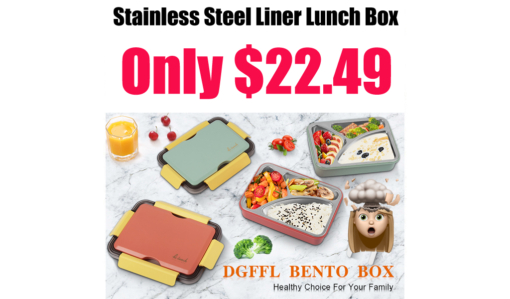 Stainless Steel Liner Lunch Box Only $22.49 Shipped on Amazon (Regularly $49.99)