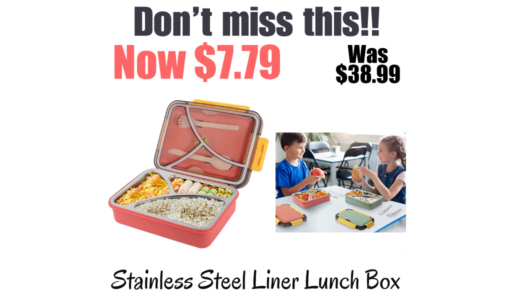 Stainless Steel Liner Lunch Box Only $7.79 Shipped on Amazon (Regularly $38.99)