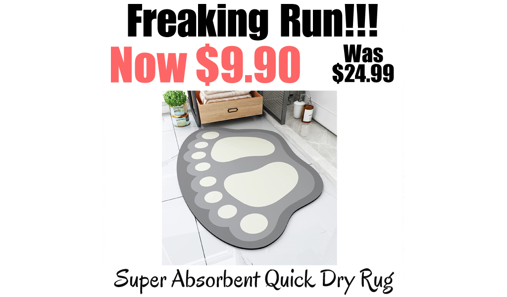 Super Absorbent Quick Dry Rug Only $9.90 Shipped on Amazon (Regularly $24.99)