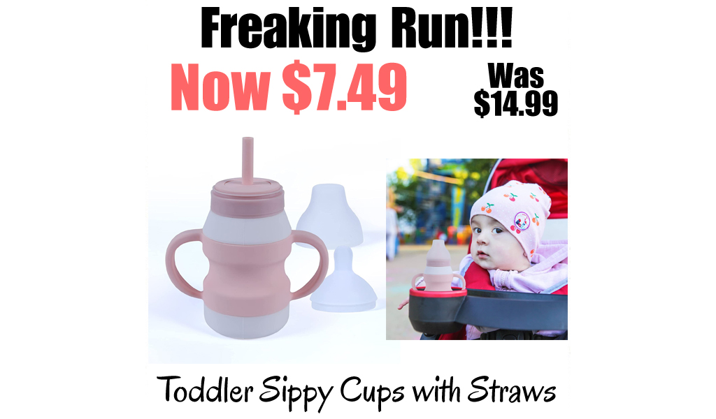 Toddler Sippy Cups with Straws Only $7.49 Shipped on Amazon (Regularly $14.99)