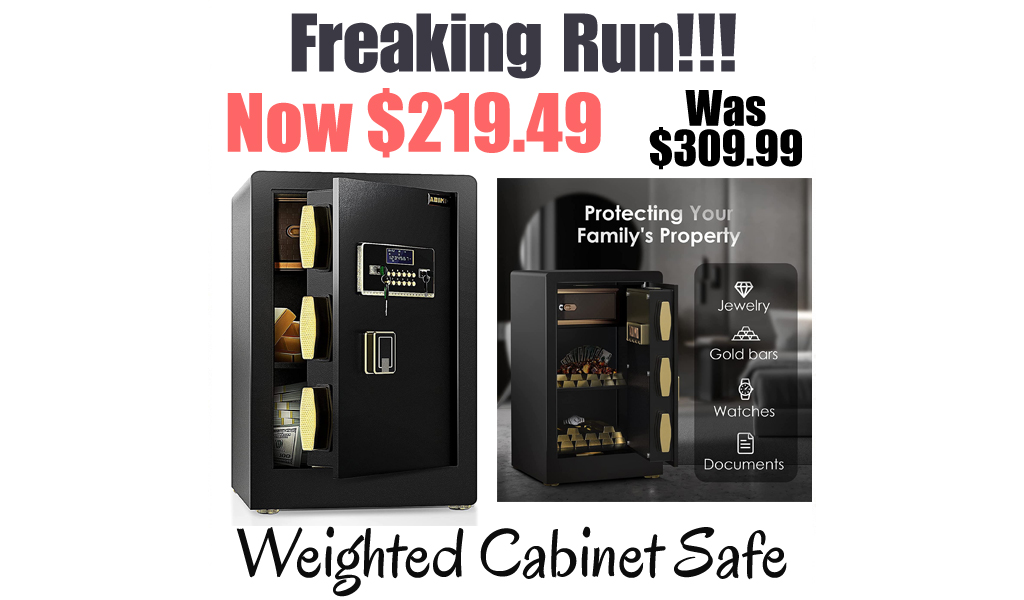 Weighted Cabinet Safe Only $219.49 Shipped on Amazon (Regularly $309.99)