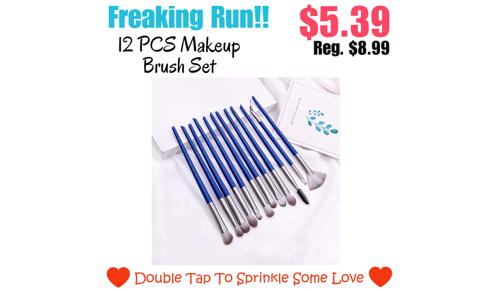 12 PCS Makeup Brush Set Only $5.39 Shipped on Amazon (Regularly $8.99)