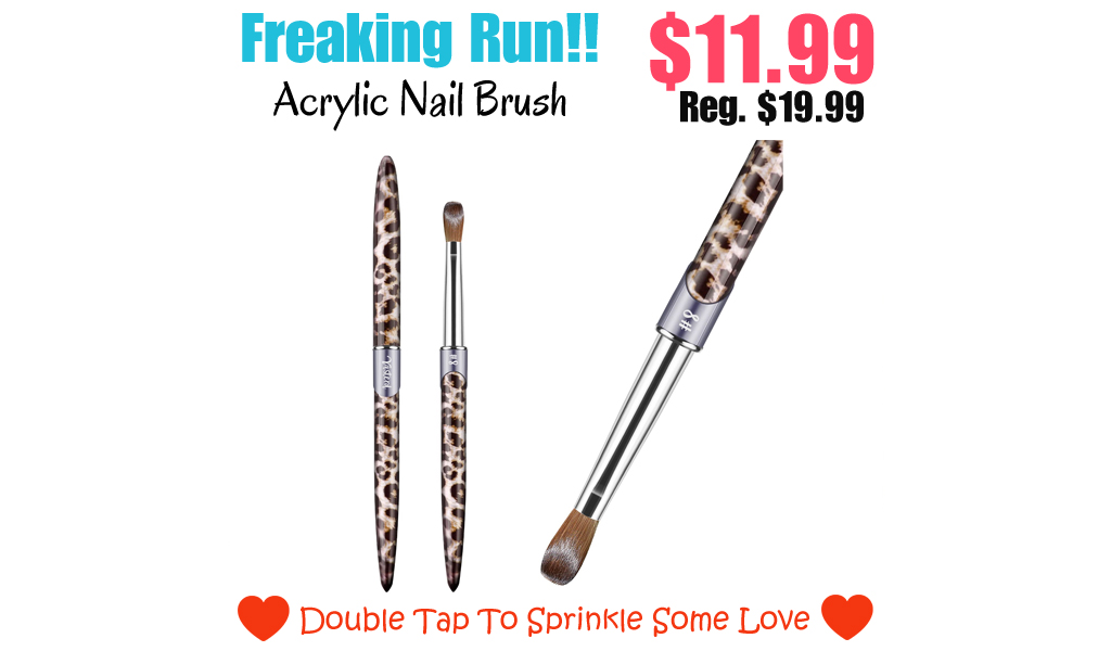 Acrylic Nail Brush Only $11.99 Shipped on Amazon (Regularly $19.99)