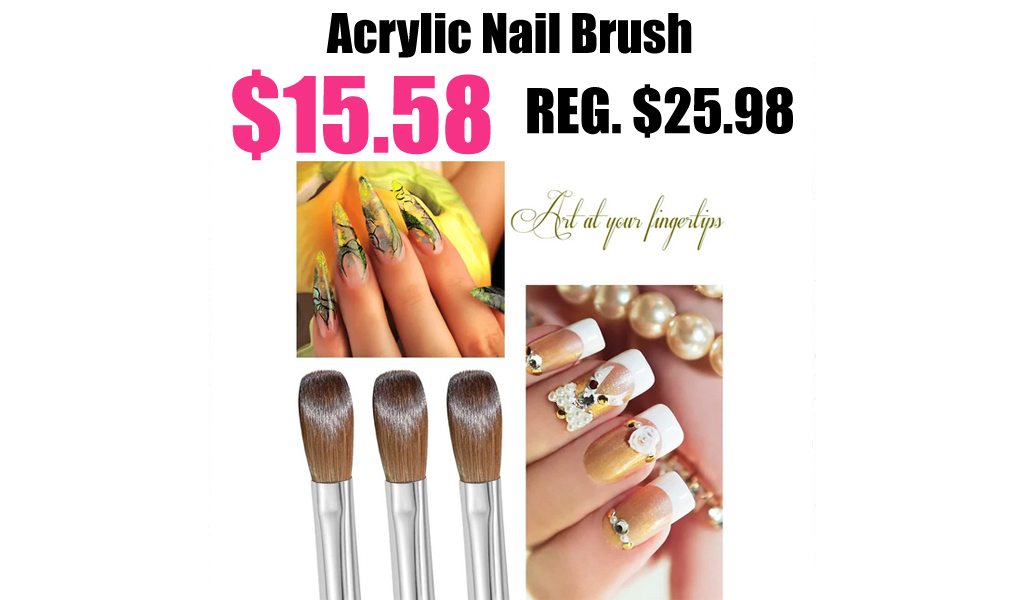Acrylic Nail Brush Only $15.58 (Regularly $25.98)