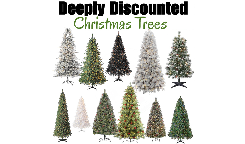 Deeply Discounted Christmas Trees