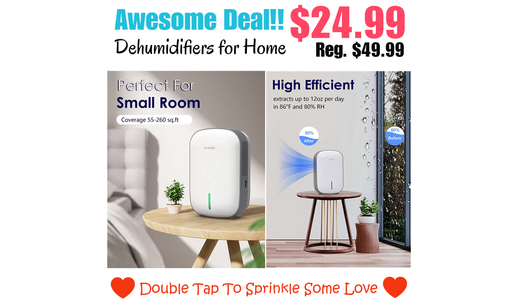 Dehumidifiers for Home Only $24.99 Shipped on Amazon (Regularly $49.99)