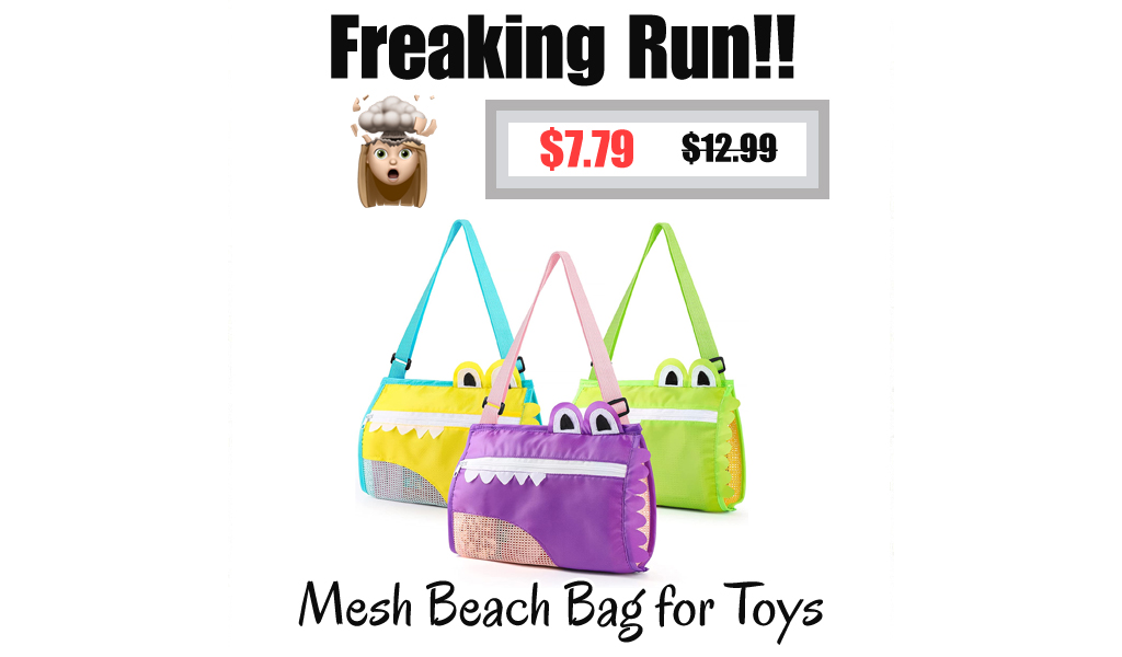Mesh Beach Bag for Toys Only $7.79 Shipped on Amazon (Regularly $12.99)