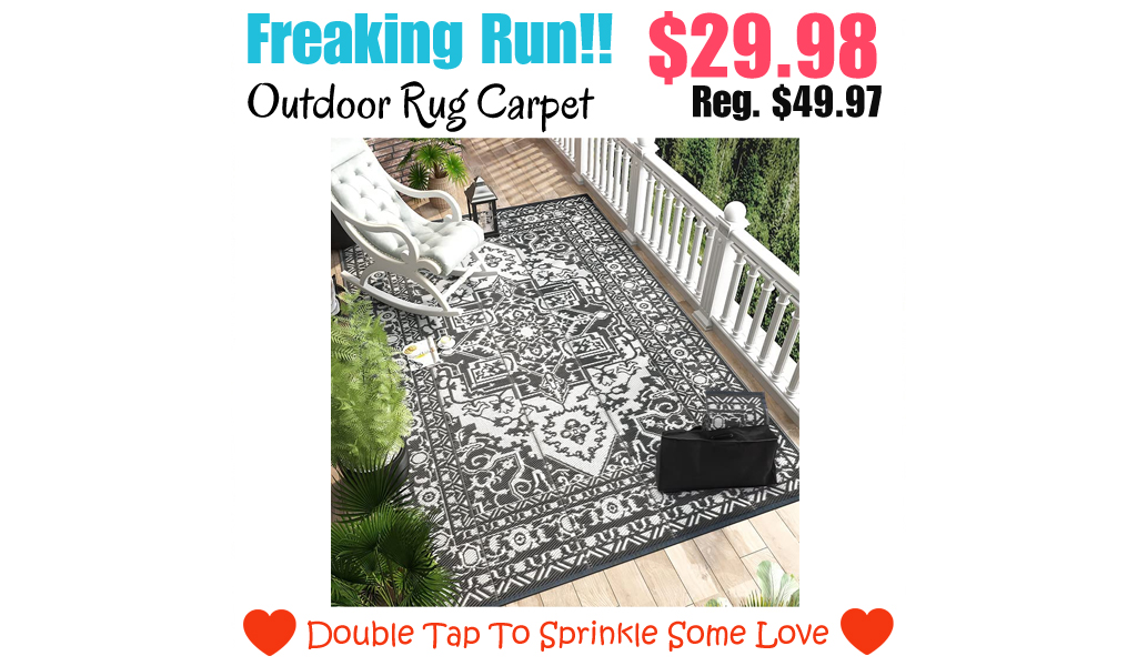 Outdoor Rug Carpet Only $29.98 Shipped on Amazon (Regularly $49.97)