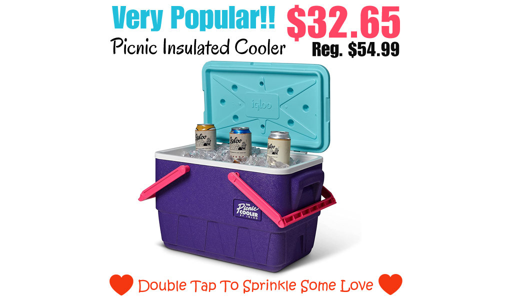 Picnic Insulated Cooler Only $32.65 Shipped on Amazon (Regularly $54.99)