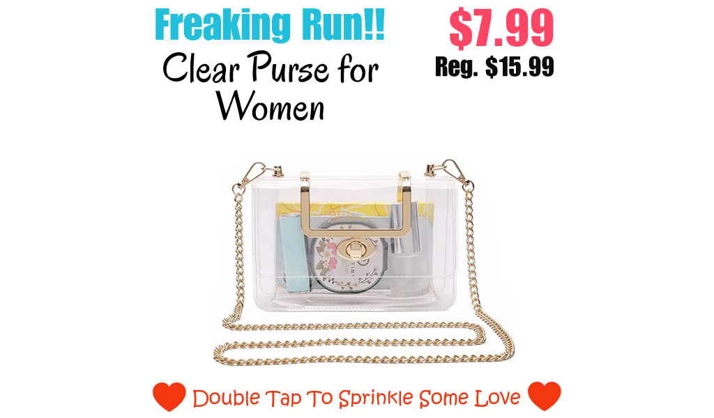 Clear Purse for Women Only $7.99 Shipped on Amazon (Regularly $15.99)