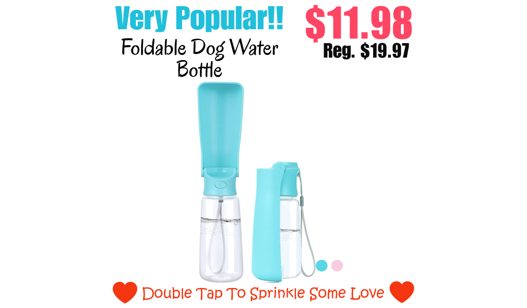Foldable Dog Water Bottle Only $11.98 Shipped on Amazon (Regularly $19.97)