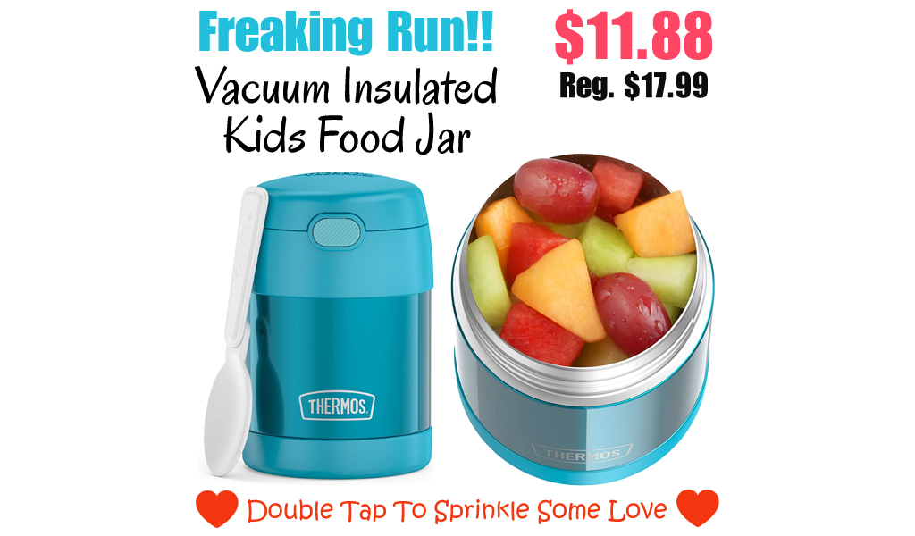 Vacuum Insulated Kids Food Jar Only $11.88 Shipped on Amazon (Regularly $17.99)