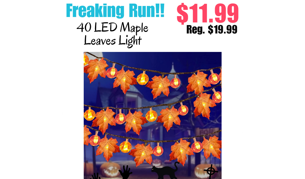 40 LED Maple Leaves Light Only $11.99 Shipped on Amazon (Regularly $19.99)