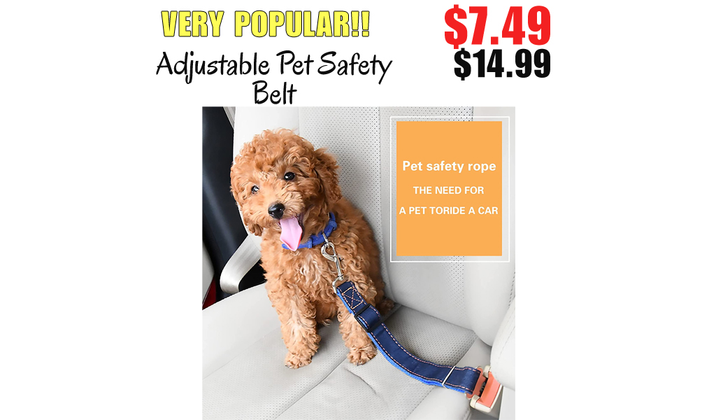 Adjustable Pet Safety Belt Only $7.49 Shipped on Amazon (Regularly $14.99)