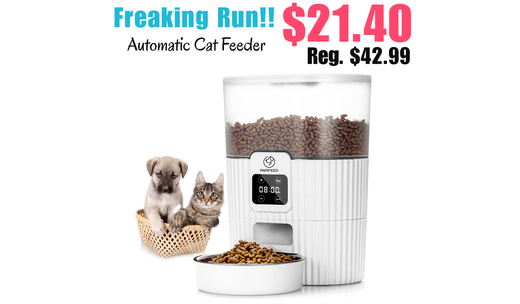 Automatic Cat Feeder Only $21.40 Shipped on Amazon (Regularly $42.99)