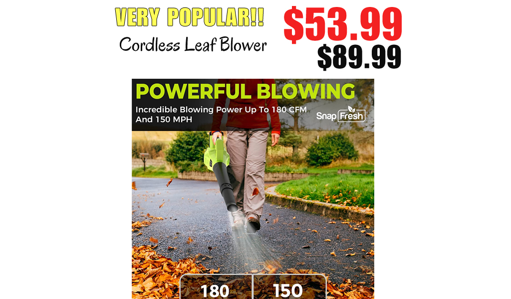 Cordless Leaf Blower Only $53.99 Shipped on Amazon (Regularly $89.99)