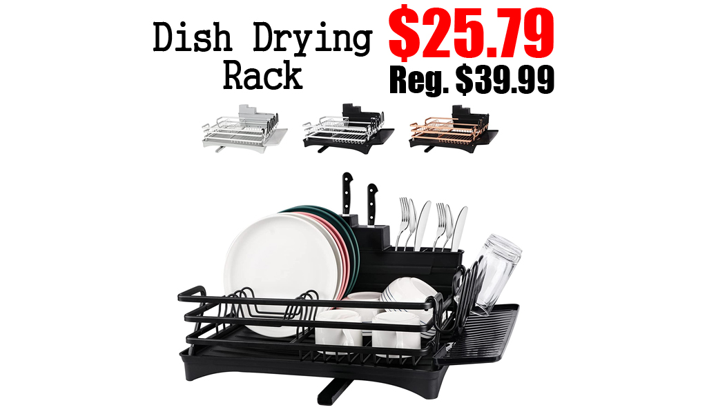 Dish Drying Rack Only $25.79 Shipped on Amazon (Regularly $39.99)