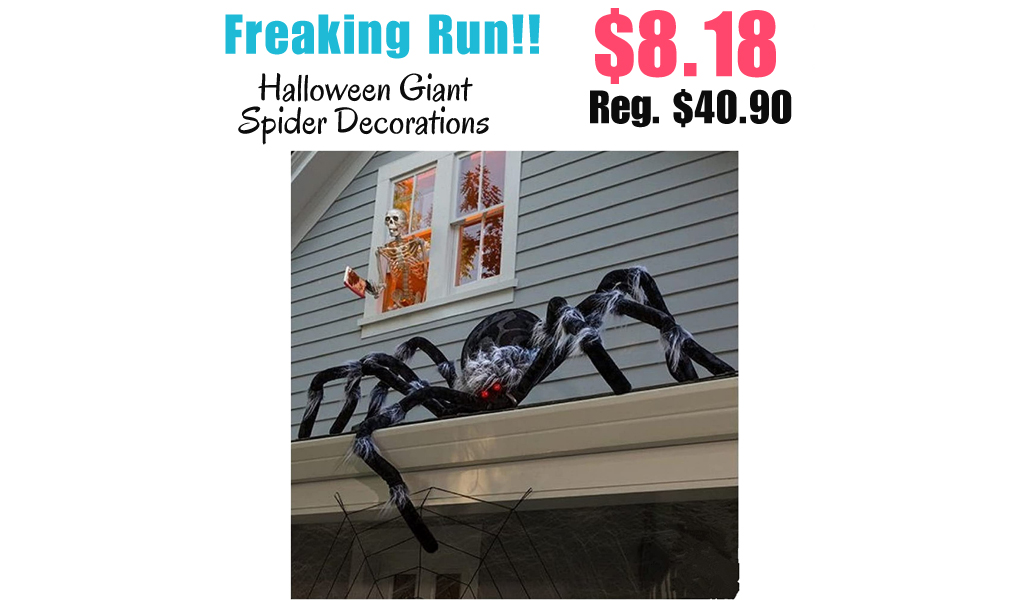 Halloween Giant Spider Decorations Only $8.18 Shipped on Amazon (Regularly $40.90)