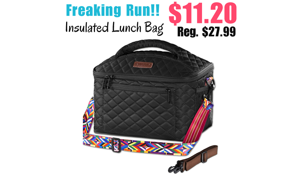 Insulated Lunch Bag Only $11.20 Shipped on Amazon (Regularly $27.99)
