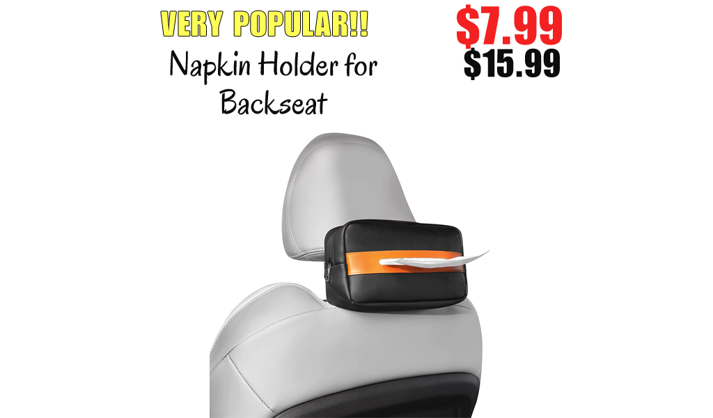 Napkin Holder for Backseat Only $7.99 Shipped on Amazon (Regularly $15.99)