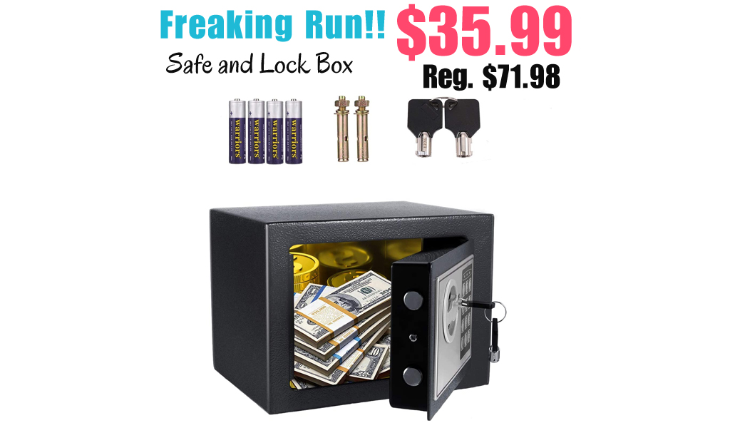 Safe and Lock Box Only $35.99 Shipped on Amazon (Regularly $71.98)