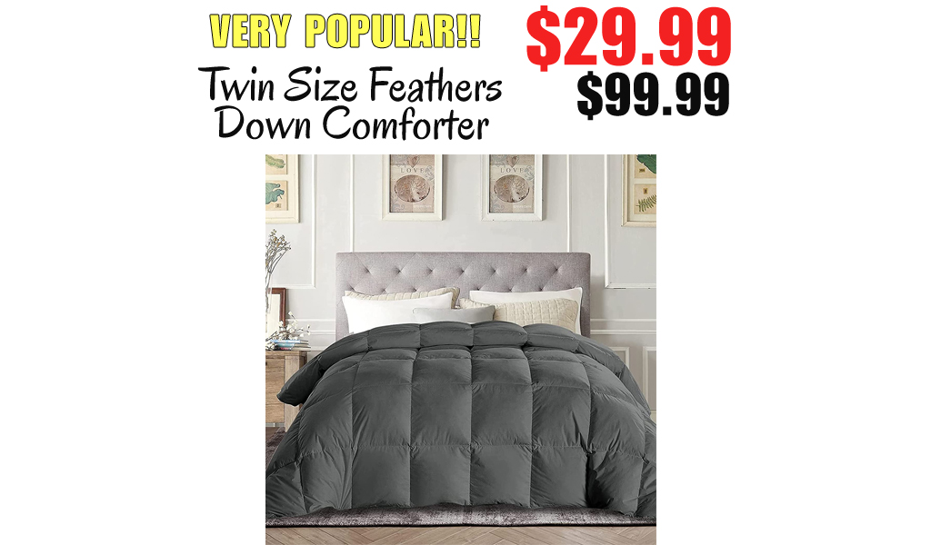 Twin Size Feathers Down Comforter Only $29.99 Shipped on Amazon (Regularly $99.99)