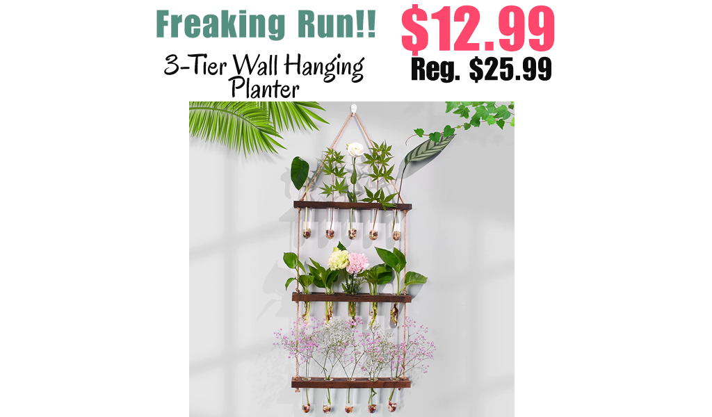 3-Tier Wall Hanging Planter Only $12.99 Shipped on Amazon (Regularly $25.99)