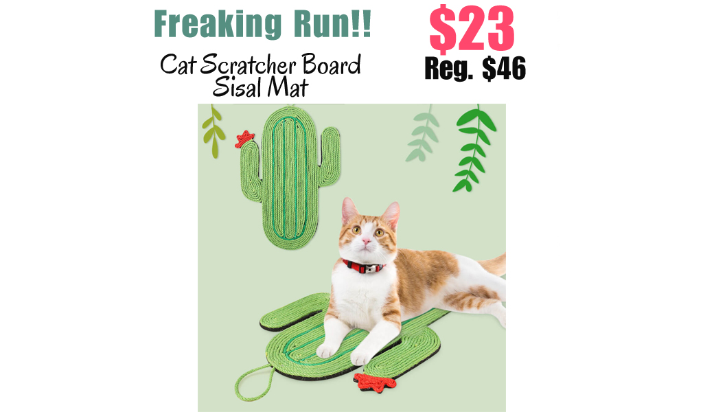 Cat Scratcher Board Sisal Mat Only $23 (Regularly $46)