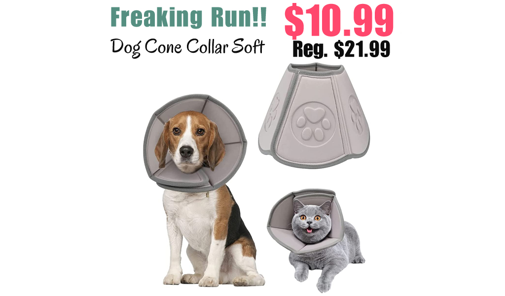 Dog Cone Collar Soft Only $10.99 Shipped on Amazon (Regularly $21.99)