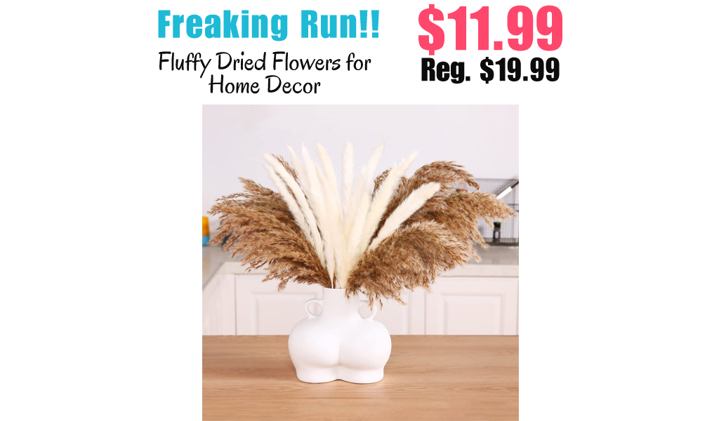 Fluffy Dried Flowers for Home Decor Only $11.99 Shipped on Amazon (Regularly $19.99)