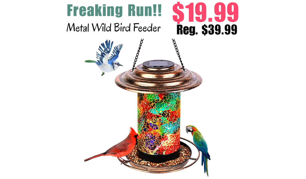 Metal Wild Bird Feeder Only $19.99 Shipped on Amazon (Regularly $39.99)