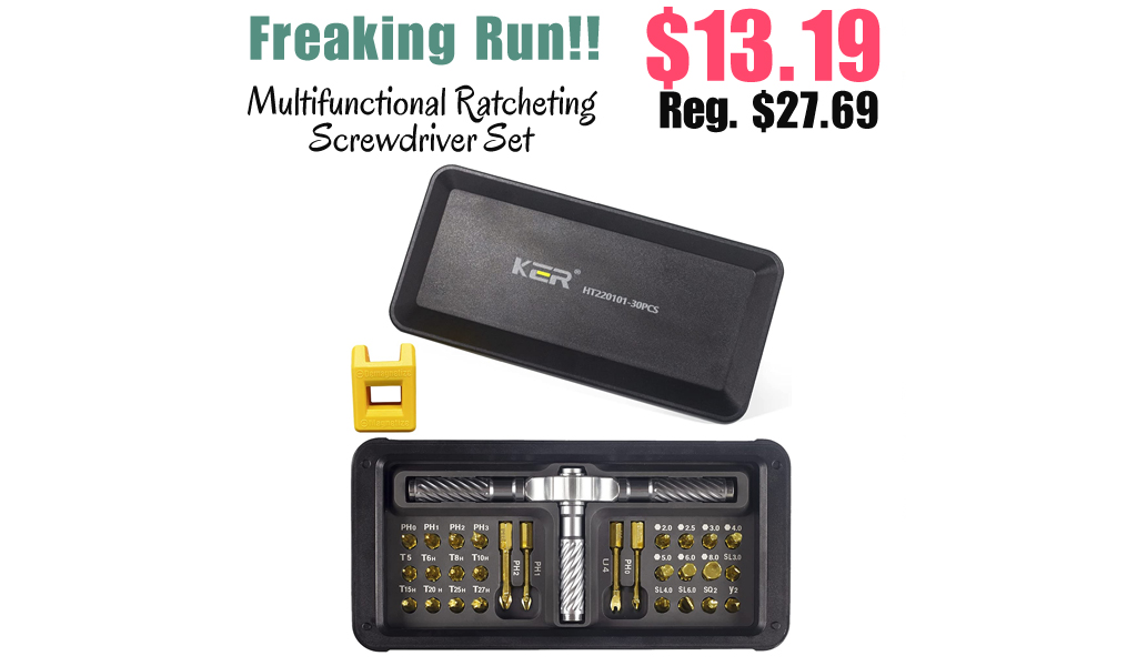 Multifunctional Ratcheting Screwdriver Set Only $13.19 Shipped on Amazon (Regularly $27.69)