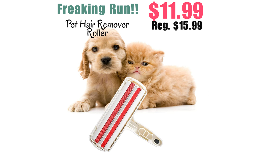 Pet Hair Remover Roller Only $11.99 Shipped on Amazon (Regularly $15.99)