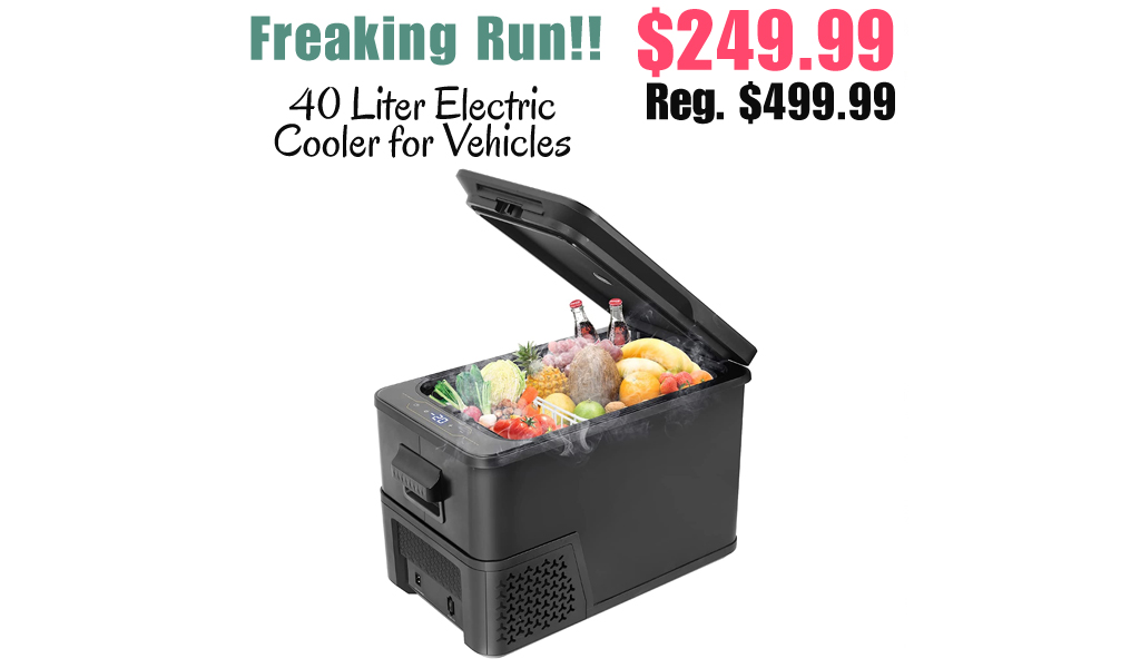 40 Liter Electric Cooler for Vehicles Only $249.99 Shipped on Amazon (Regularly $499.99)