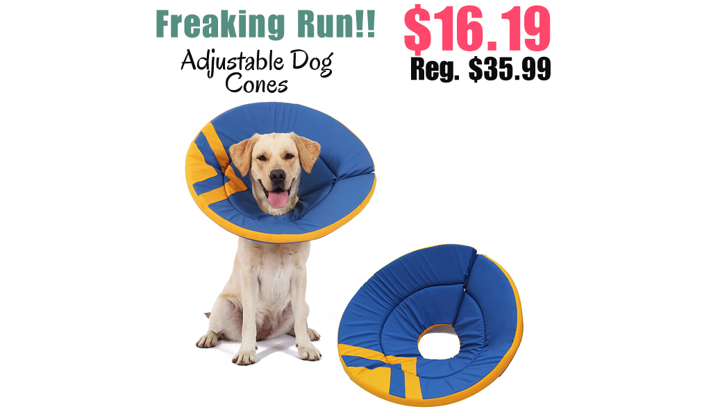 Adjustable Dog Cones Only $16.19 Shipped on Amazon (Regularly $35.99)