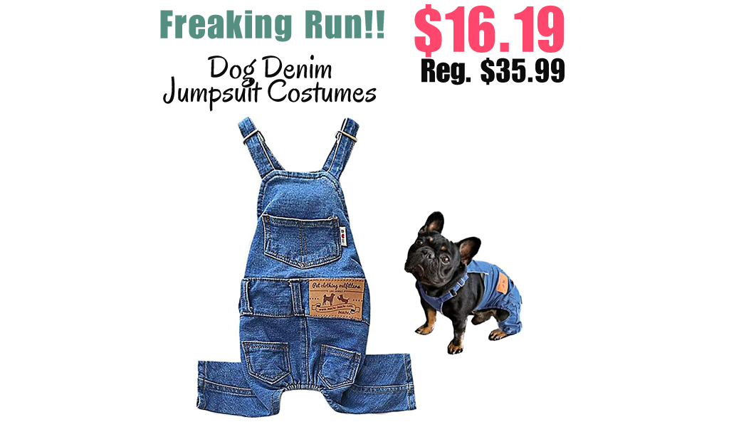 Dog Denim Jumpsuit Costumes Only $16.19 Shipped on Amazon (Regularly $35.99)