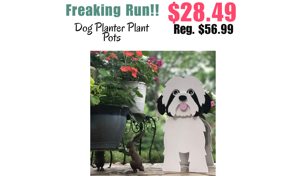 Dog Planter Plant Pots Only $28.49 Shipped on Amazon (Regularly $56.99)