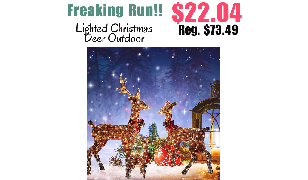 Lighted Christmas Deer Outdoor Only $22.04 Shipped on Amazon (Regularly $73.49)