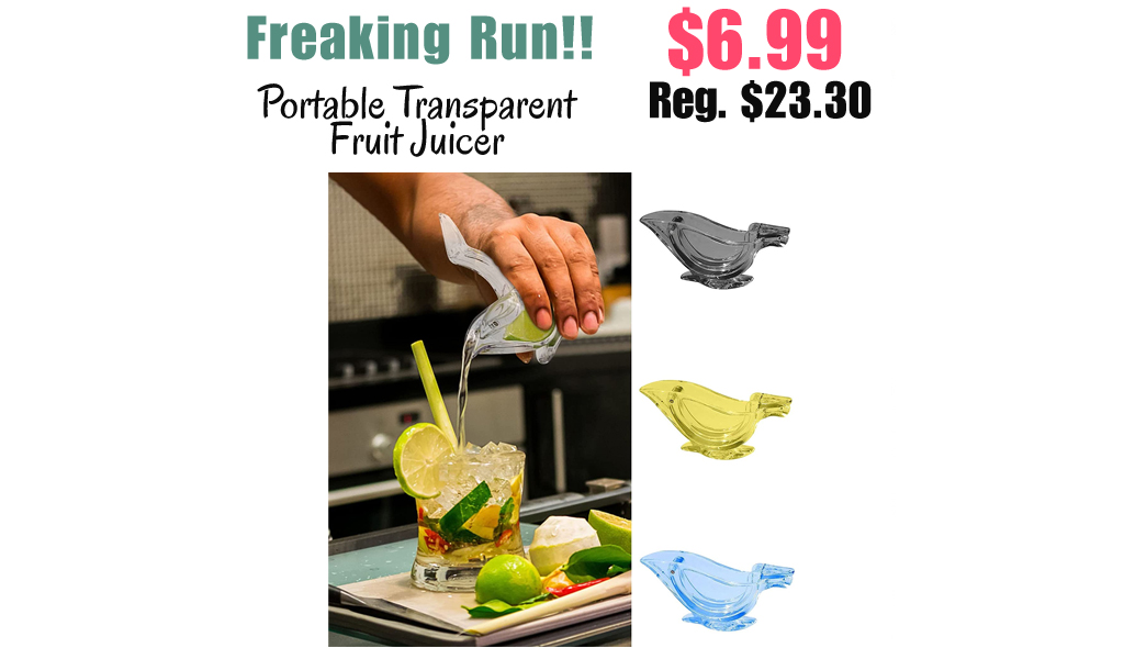Portable Transparent Fruit Juicer Only $6.99 Shipped on Amazon (Regularly $23.30)