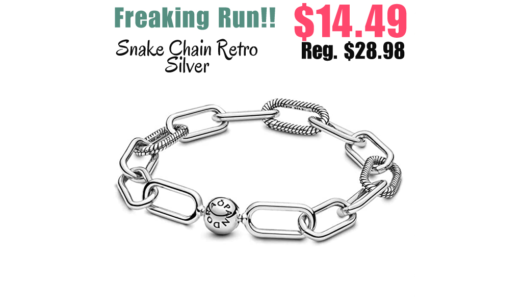 Snake Chain Retro Silver Only $14.49 Shipped on Amazon (Regularly $28.98)