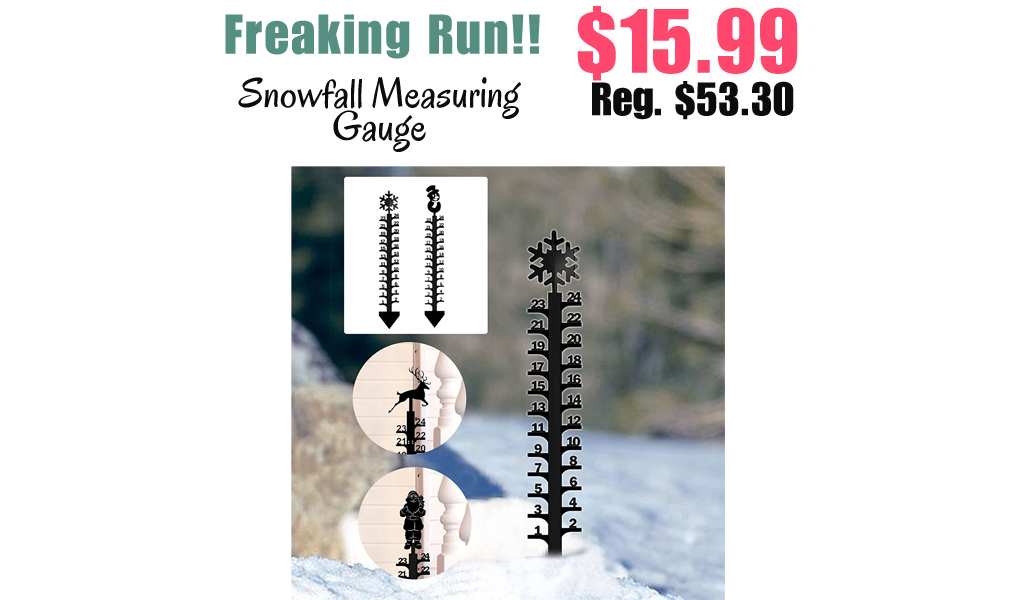 Snowfall Measuring Gauge Only $15.99 Shipped on Amazon (Regularly $53.30)