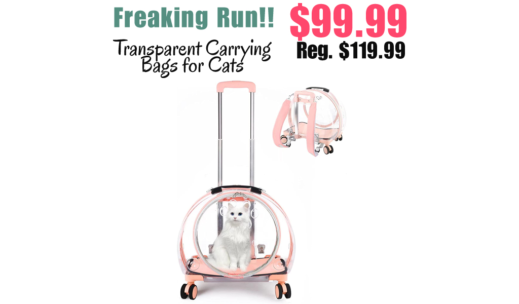 Transparent Carrying Bags for Cats Only $99.99 Shipped on Amazon (Regularly $119.99)