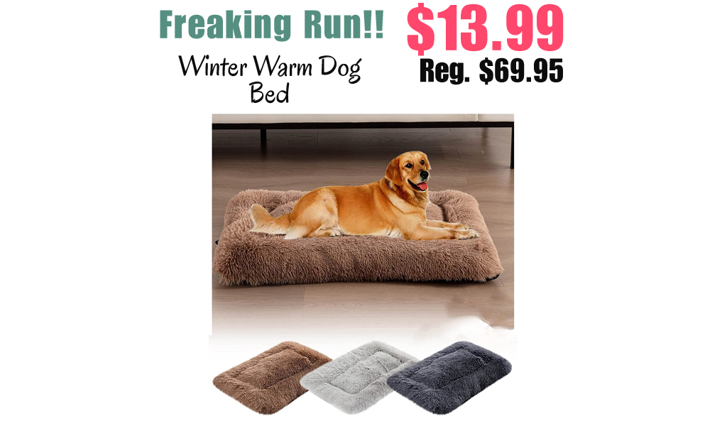 Winter Warm Dog Bed Only $13.99 Shipped on Amazon (Regularly $69.95)