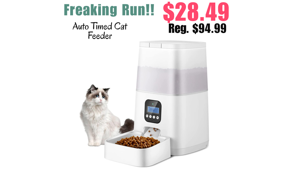 Auto Timed Cat Feeder Only $28.49 Shipped on Amazon (Regularly $94.99)