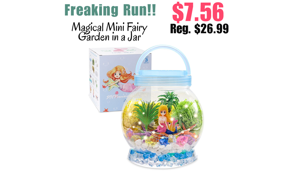 Magical Mini Fairy Garden in a Jar Only $7.56 Shipped on Amazon (Regularly $26.99)